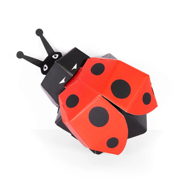 Create Your Own Lovely Ladybird