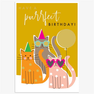 Purrfect Birthday