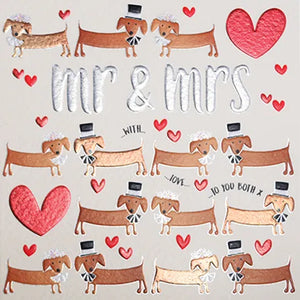 Mr & Mrs Sausage Dogs