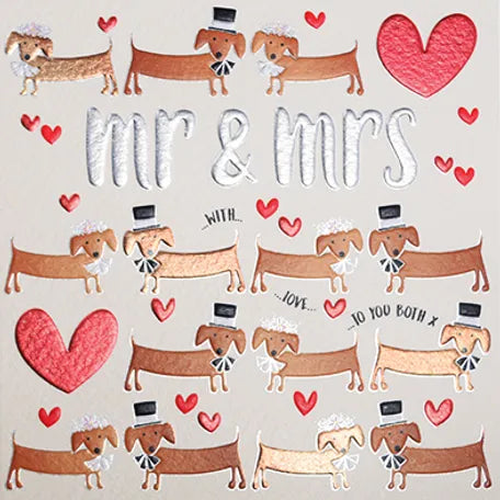 Mr & Mrs Sausage Dogs