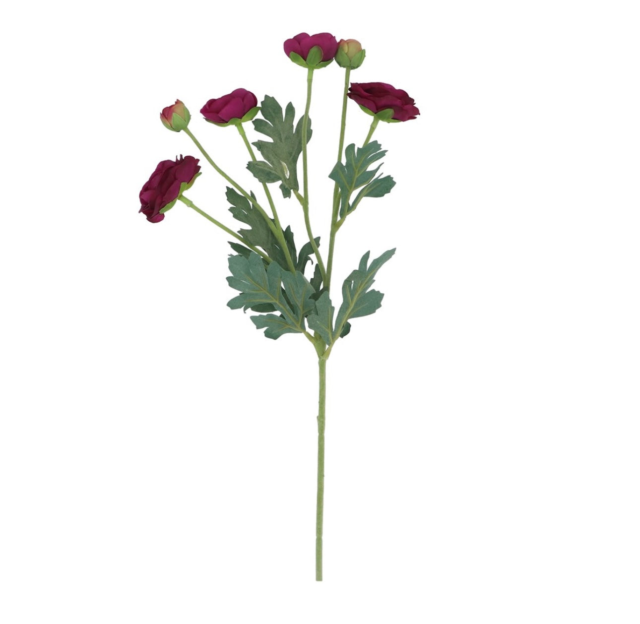 Purple Ranunculus Spray