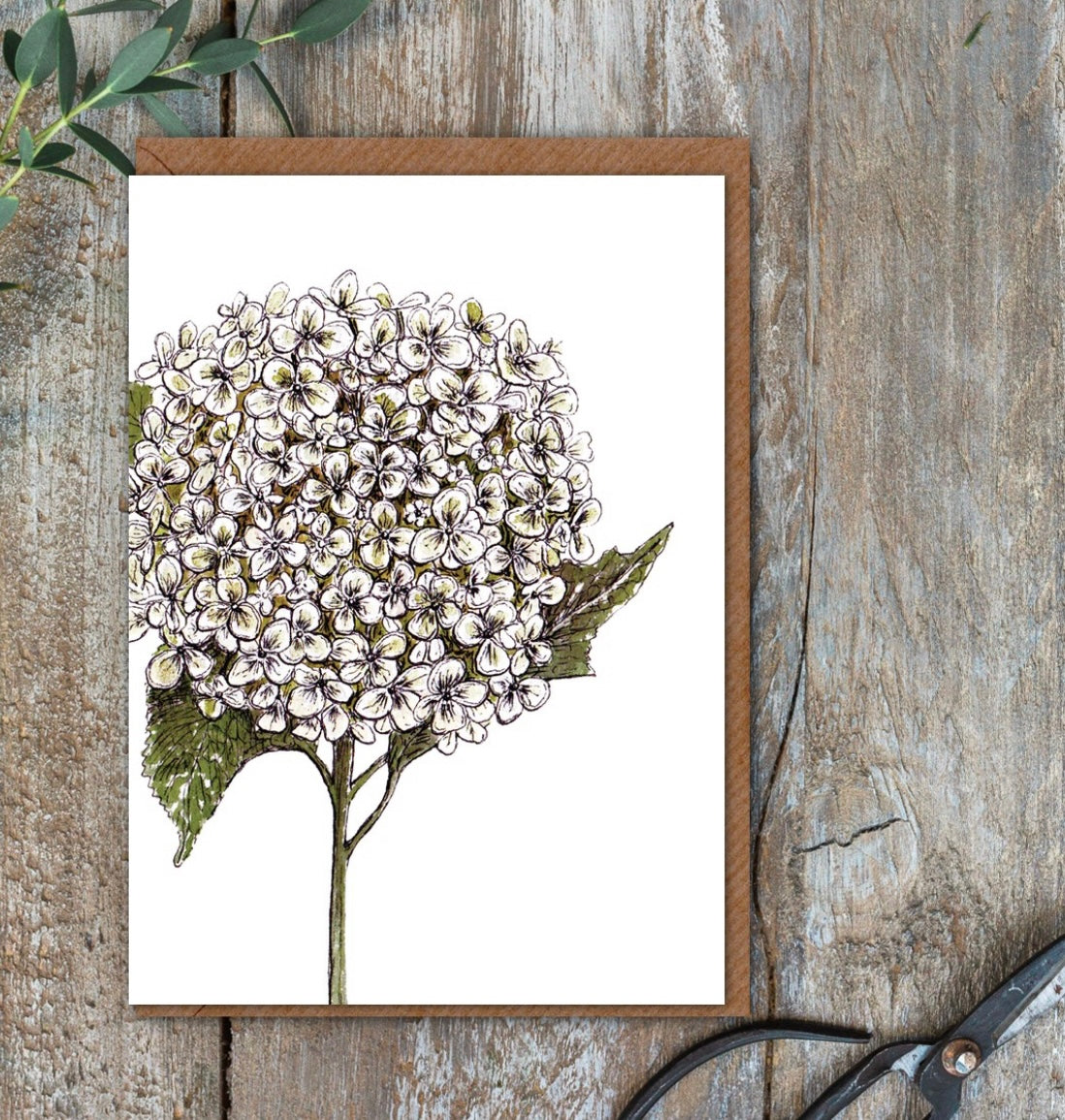 Pure Art - Annabelle Hydrangea Card