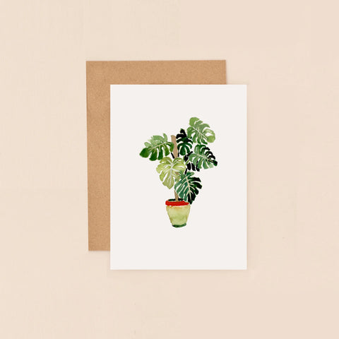 Monstera Blank