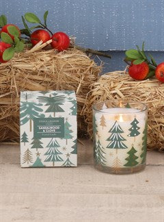 New England Trees Boxed Candle