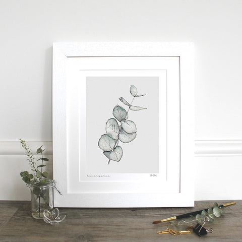 Fine Art Print - Eucalyptus