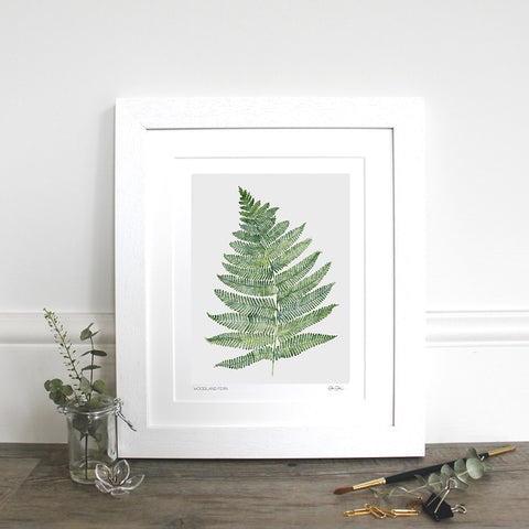 Fine Art Print - Woodland Fern