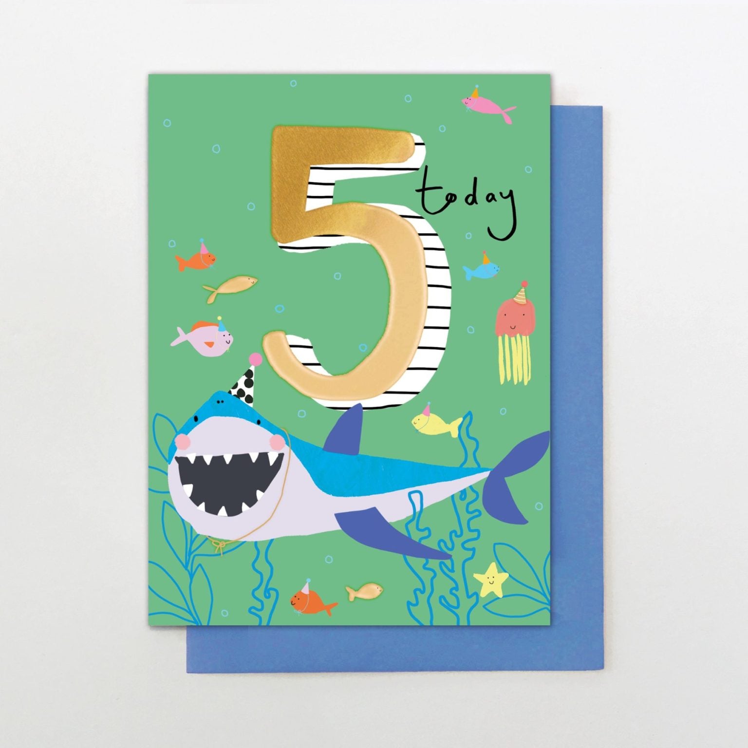 5 Today - Shark