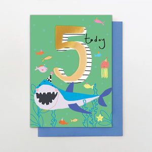 5 Today - Shark