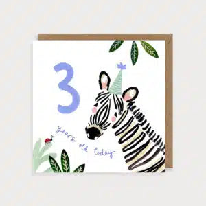 Age 3 - Zebra