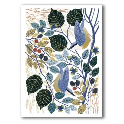 Nuthatches