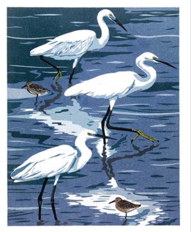 Egrets & Dunlin