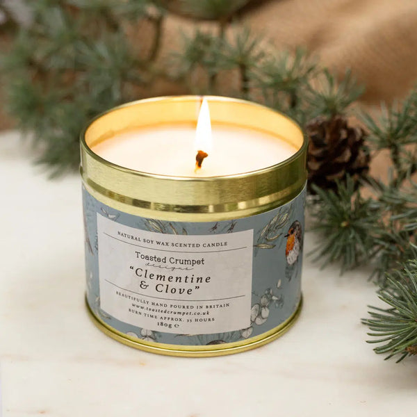 *NEW* Clementine & Clove (Robin & Eucalyptus Blue) Candle in Matt Gold Tin